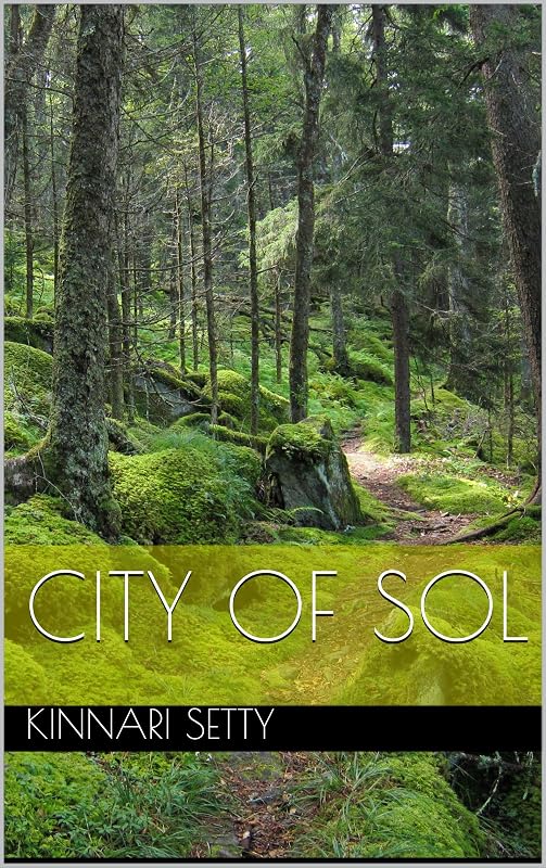 City of Sol by Kinnari Setty