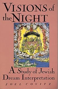 Visions of the Night by Joel Covitz