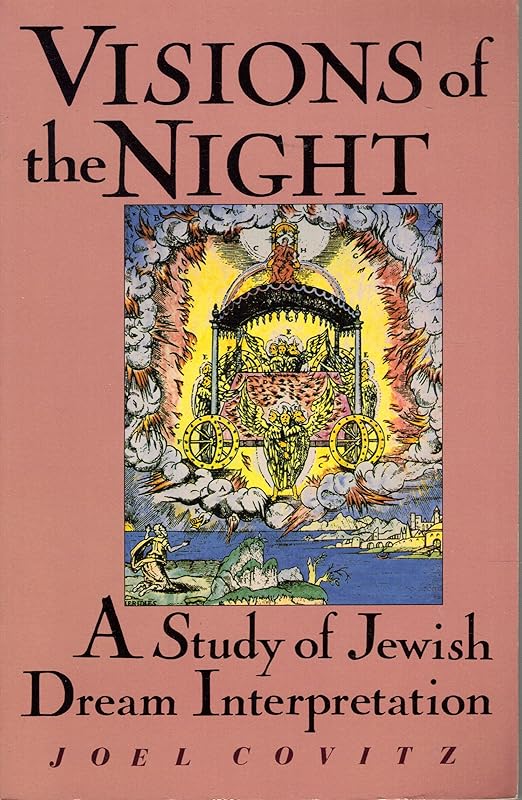 Visions of the Night by Joel Covitz