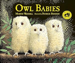 Owl Babies