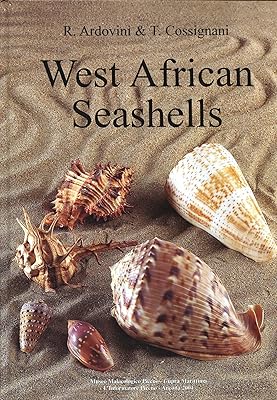 West African Seashells