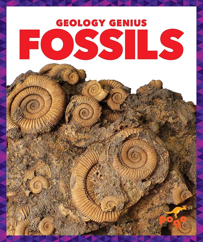 Fossils (Pogo Books: Geology Genius) by Rebecca Pettiford