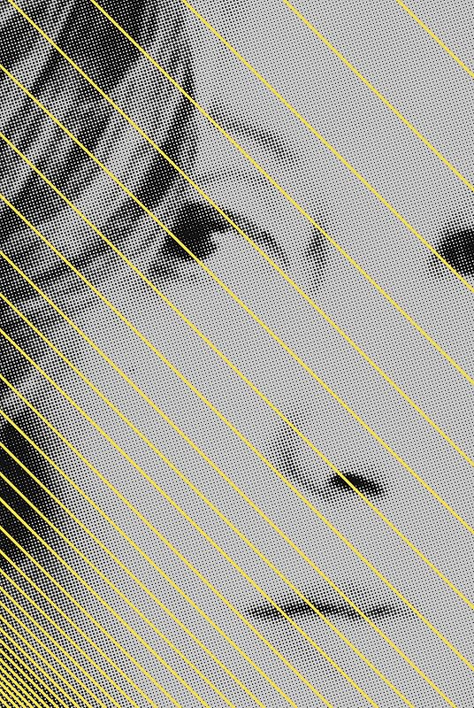 Too Much of Life: The Complete Crônicas by Clarice Lispector