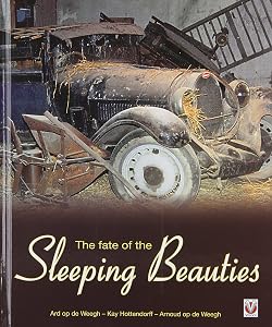 The Fate of the Sleeping Beauties by Kay Hottendorff