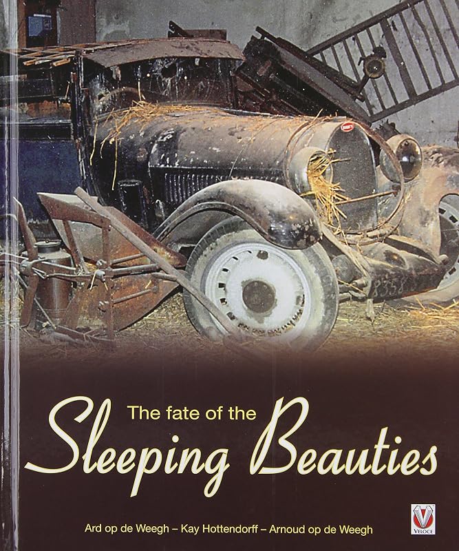 The Fate of the Sleeping Beauties by Kay Hottendorff