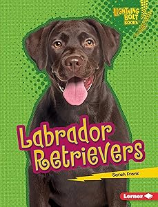 Labrador Retrievers (Lightning Bolt Books ® — Who's a Good Dog?) by Sarah Frank