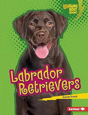 Labrador Retrievers (Lightning Bolt Books ® — Who's a Good Dog?)