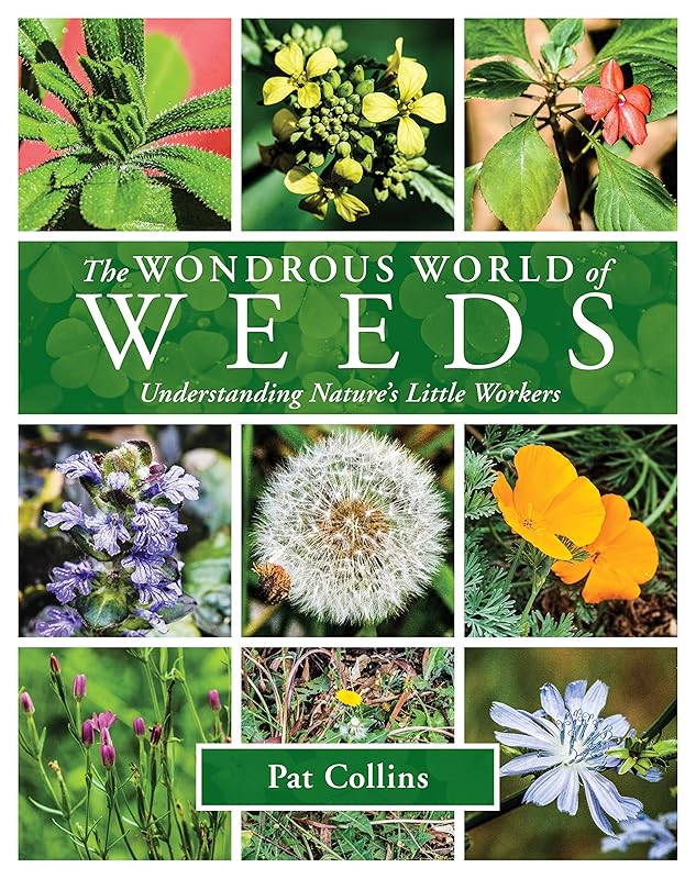 The Wondrous World of Weeds by Pat Collins