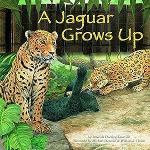 A Jaguar Grows Up (Wild Animals)