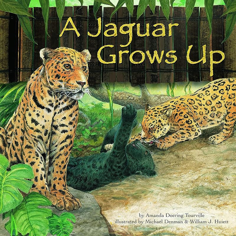 A Jaguar Grows Up (Wild Animals) by Amanda Doering Tourville