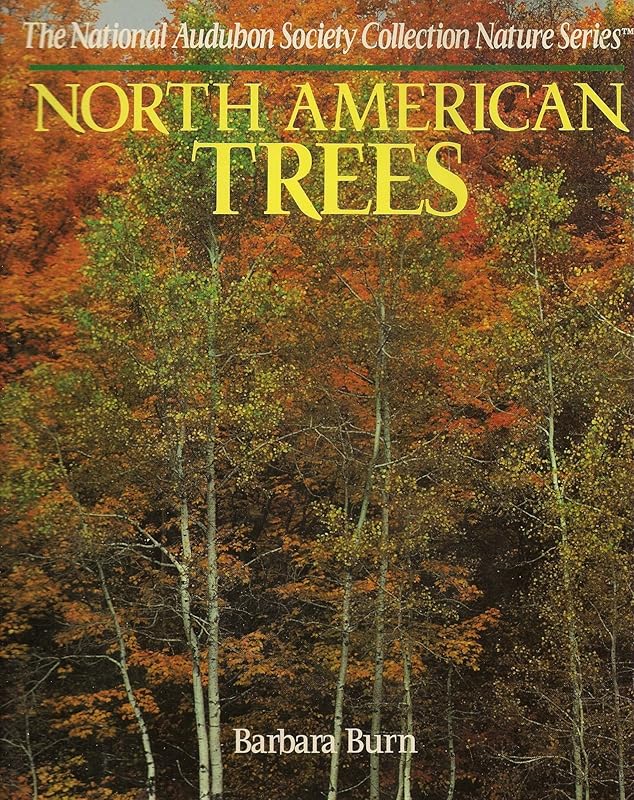 North American Trees (The National Audubon Society Collection Nature Series) by NATIONAL AUDUBON SOCIETY