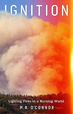 Ignition: Lighting Fires in a Burning World