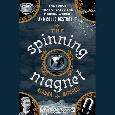 The Spinning Magnet: The Electromagnetic Force that Created the Modern World - and Could Destroy It