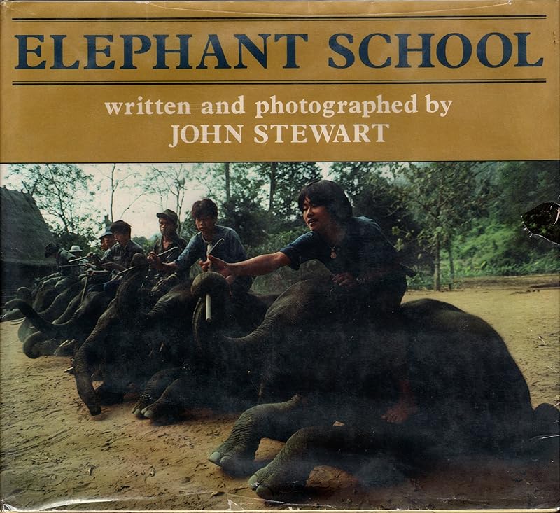 Elephant School by John Stewart