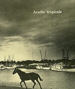 Acadie Tropicale : Poesie De Louisiane