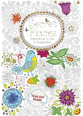 Secret Places: Adventures in Ink and Imagination (Colouring Paperback)