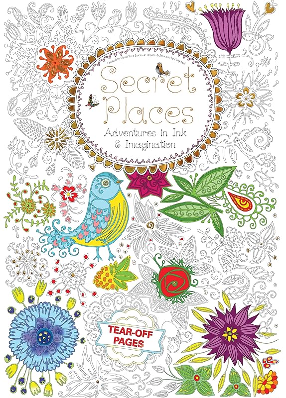 Secret Places: Adventures in Ink and Imagination (Colouring Paperback) by Daisy Seal