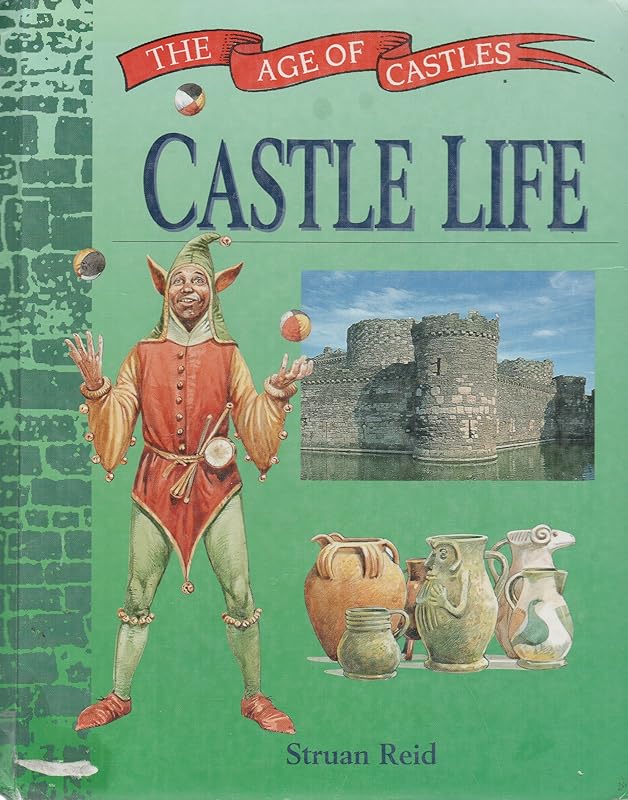 Castle Life (Age of Castles) by Struan Reid