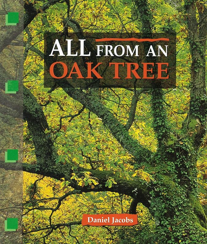 All from an oak tree (Newbridge discovery links) by Daniel Jacobs
