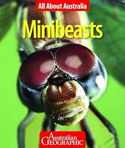 All About Australia: Minibeasts