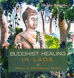 Buddhist Healing in Laos: The Fragrant Forest: The Fragrant Forest by Denise Tomecko