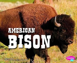 American Bison (North American Animals)