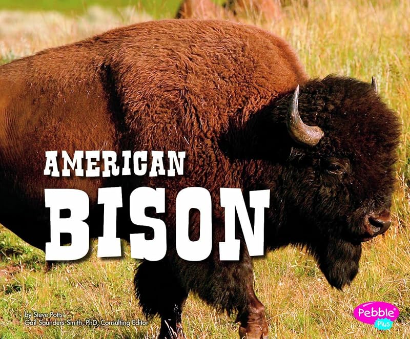 American Bison (North American Animals) by Steve Potts