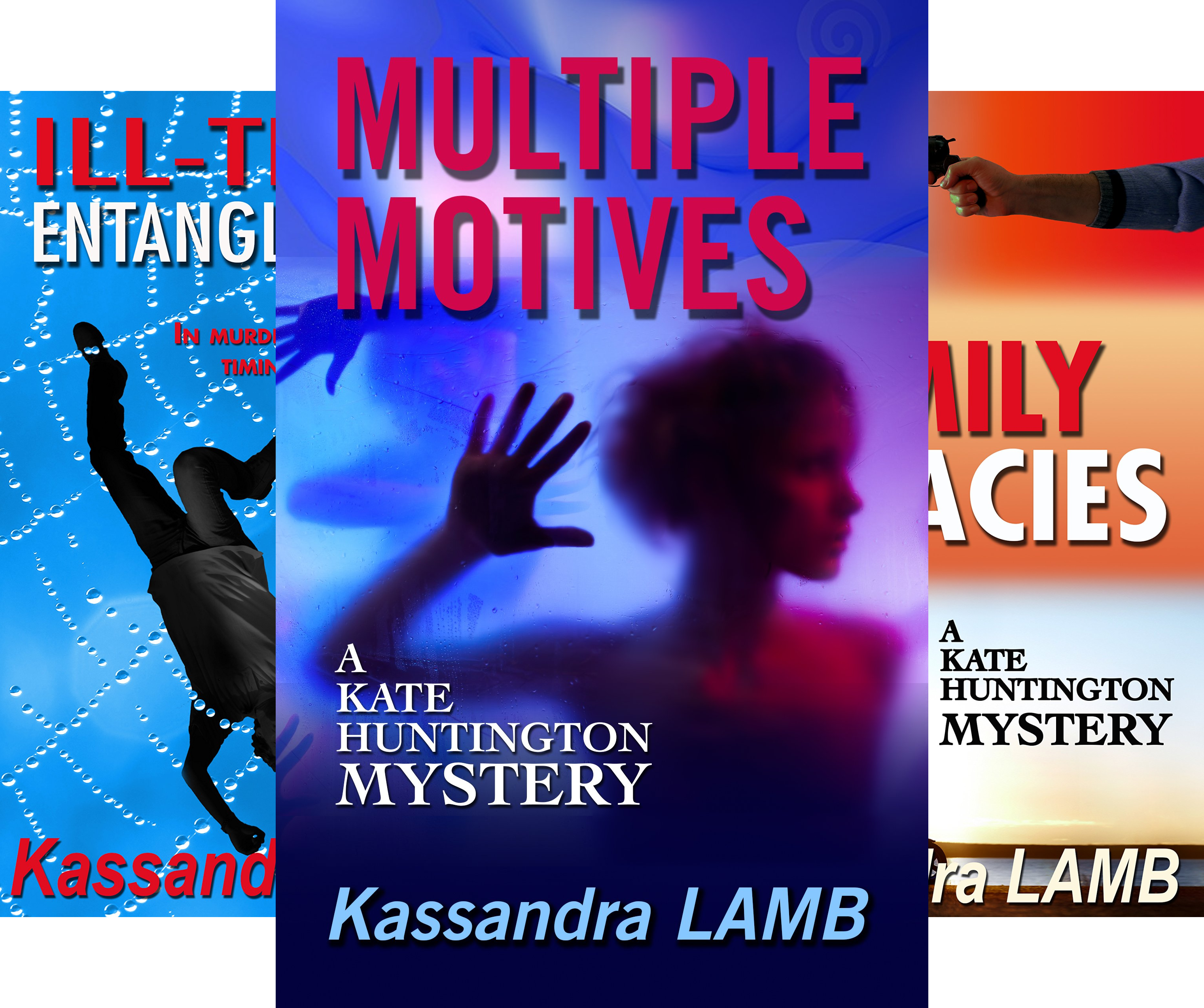 

The Kate Huntington mystery series (7 Book Series)