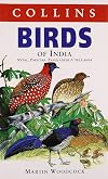 Birds of India