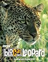 Big Cat Diary: Leopard