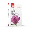 Wild Flowers Photoguide (Collins Gem)