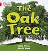 The Oak Tree (Collins Big Cat)