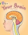 Your Brain (Collins Big Cat)