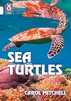 Sea Turtles: Band 10/White (Collins Big Cat)