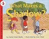 What Makes a Shadow?