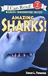Amazing Sharks!