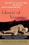 Ghosts of Vesuvius: A New Look at the Last Days of Pompeii, How Towers Fall, and Other Strange Connections