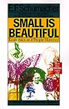 Small is Beautiful: A Study of Economics as if People Mattered