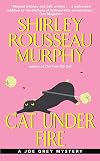 Cat Under Fire
