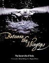 Between the Wingtips: The Secret Life of Birds
