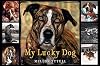 My Lucky Dog