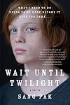Wait Until Twilight: A Novel