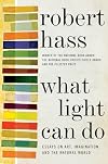 What Light Can Do: Essays on Art, Imagination, and the Natural World