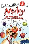 The Dog Who Ate My Homework