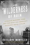 The Wilderness of Ruin: A Tale of Madness, Boston's Great Fire, and the Hunt for America's Youngest Serial Killer