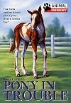 Pony in Trouble