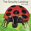 The Grouchy Ladybug