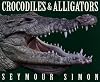 Crocodiles & Alligators