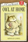 Owl at Home