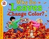 Why Do Leaves Change Color?